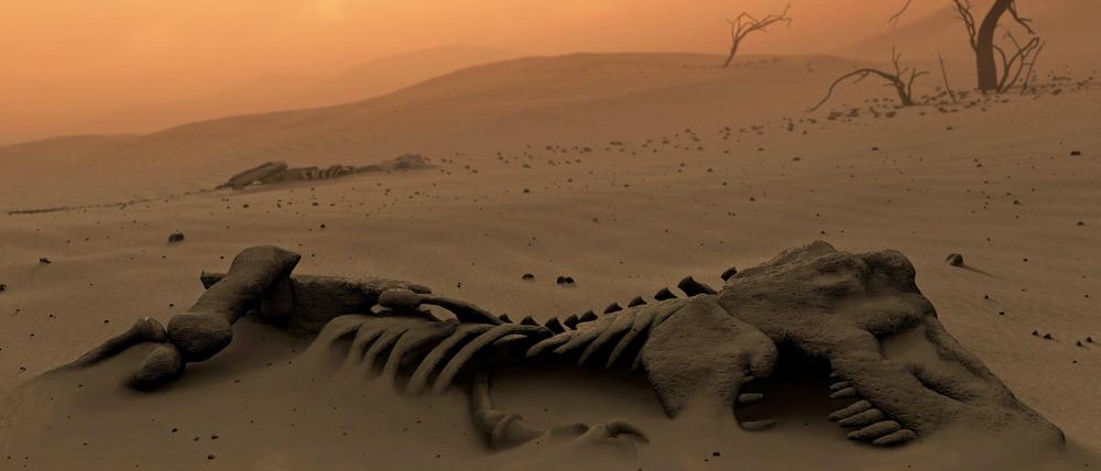 Wüstes Ende. Die Dinosaurier wurden vermutlich durch einen riesigen Asteroiden ausgelöscht.