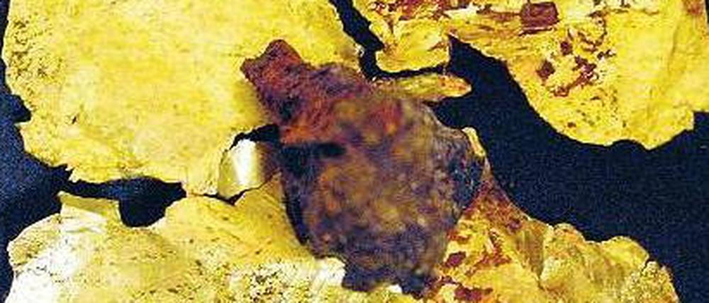 Glücksbringer. Ein Goldkleeblatt, geschaffen von mongolischen Nomaden. 