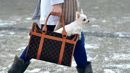 Volle Taschen. Die Deutschen wollen sich 2013 wieder mehr leisten, das Konsumklima bessert sich.