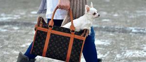 Volle Taschen. Die Deutschen wollen sich 2013 wieder mehr leisten, das Konsumklima bessert sich.
