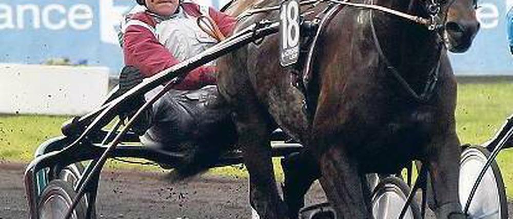 Pferd mit Charakter. Franck Nivard schätzt den Trotzkopf seines Hengstes. Foto: AFP