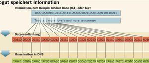 So funktioniert der DNS-Speicher.