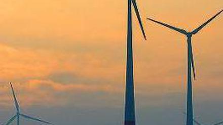 Und sie drehen sich doch: Allen Warnungen vor sinkenden Vergütungssätzen zum Trotz, boomt die Windkraft in Deutschland - hier in Brandenburg - weiter.