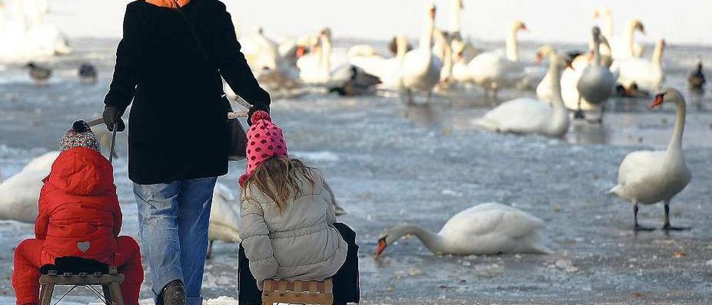 Gefahr durch Temperaturwechsel. Aufs Eis sollte niemand gehen – rodeln schon eher. 