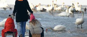 Gefahr durch Temperaturwechsel. Aufs Eis sollte niemand gehen – rodeln schon eher. 