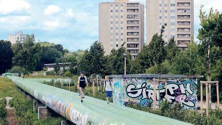 Immer an der Trasse lang. An der S-Bahn-Trasse, an der auch Fernwärmeleitungen liegen, soll eine große Straße gebaut werden. Foto: ddp