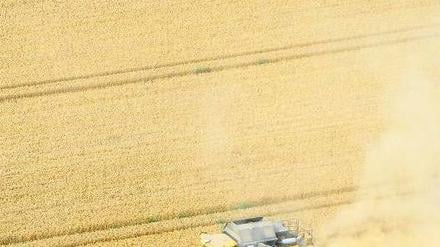 Intensive Nutzung. Die Landwirte in der EU sollen ermuntert werden, einen größeren Anteil ihrer Flächen nicht zu bewirtschaften, um Lebensräume für Tiere zu erhalten. 