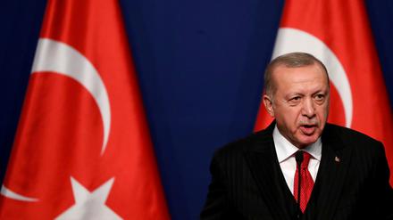 Mit langem Arm. Der türkische Präsident Recep Tayyip Erdogan gab die ungesetzlichen Entführungen im Ausland schon offen zu.