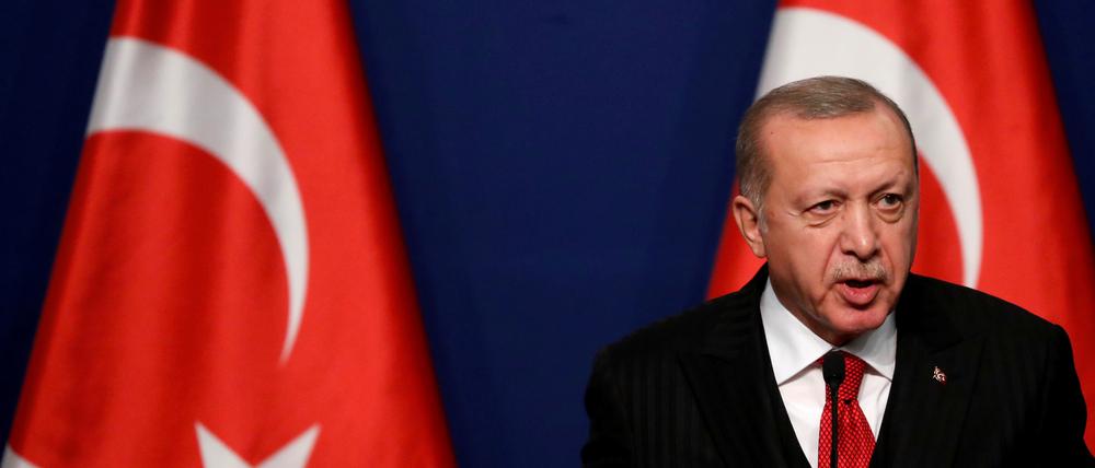 FILE PHOTO: Turkish President Recep Tayyip Erdogan attends a news conference with Hungarian Prime Minister Viktor Orban (not pictured) in Budapest, Hungary November 7, 2019. REUTERS/Bernadett Szabo/File Photo/File Photo