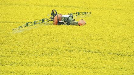 EU-Agrarkommissar Ciolos macht in der Frage der Agrarreform einen Schritt auf Deutschland zu: Umweltmaßnahmen sollen gewürdigt werden.