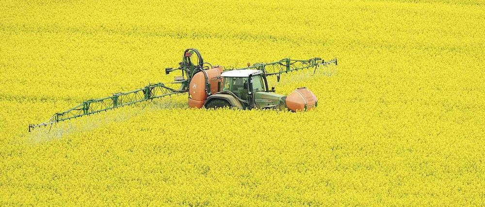 EU-Agrarkommissar Ciolos macht in der Frage der Agrarreform einen Schritt auf Deutschland zu: Umweltmaßnahmen sollen gewürdigt werden.