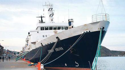 Aufgegeben. Zwei Jahre lang lag die Lyubov Orlova im Hafen von St. John’s. Die Seeleute saßen dort drei Monate fest. 