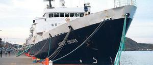 Aufgegeben. Zwei Jahre lang lag die Lyubov Orlova im Hafen von St. John’s. Die Seeleute saßen dort drei Monate fest. 