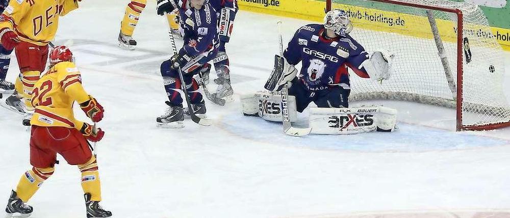 Durcheinander vor dem Eisbären-Tor. 