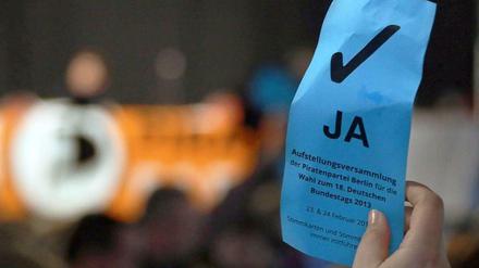 Die Landesliste der Piraten steht: Die meisten Parteimitglieder stimmten für Cornelia Otto.