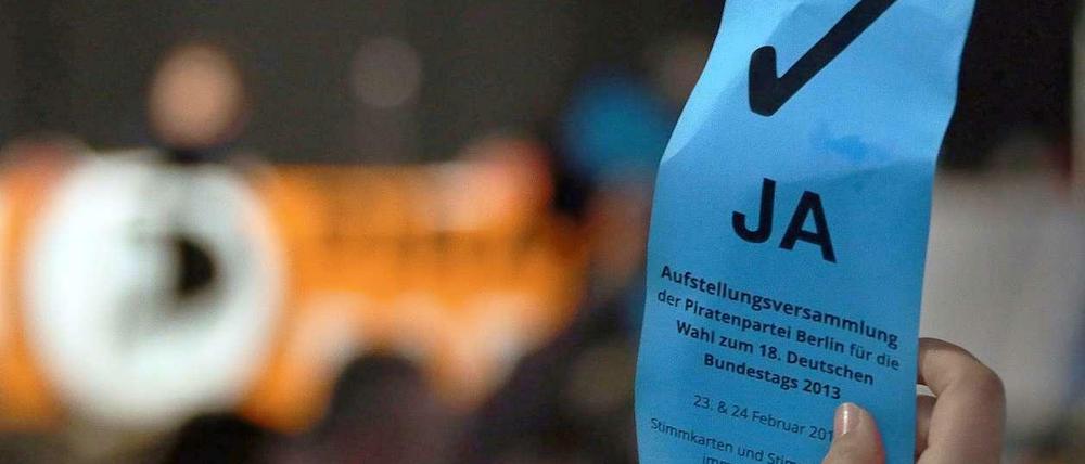 Die Landesliste der Piraten steht: Die meisten Parteimitglieder stimmten für Cornelia Otto.