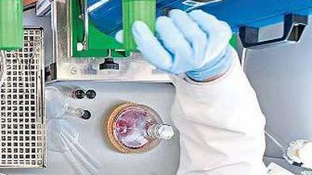 Was es nicht alles gibt. BASF-Wissenschaftler in Ludwigshafen beschäftigen sich mit „physikalischen Parametern bei der Herstellung graphenbasierter Tinten“. Foto: Promo