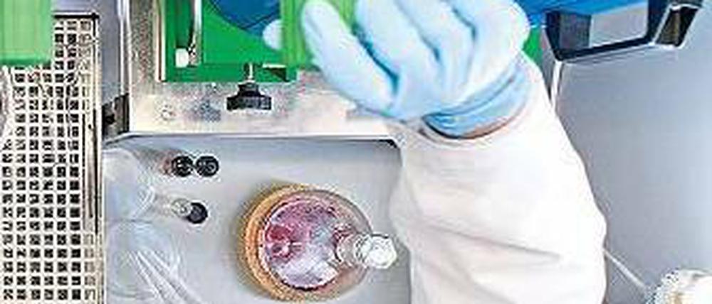 Was es nicht alles gibt. BASF-Wissenschaftler in Ludwigshafen beschäftigen sich mit „physikalischen Parametern bei der Herstellung graphenbasierter Tinten“. Foto: Promo