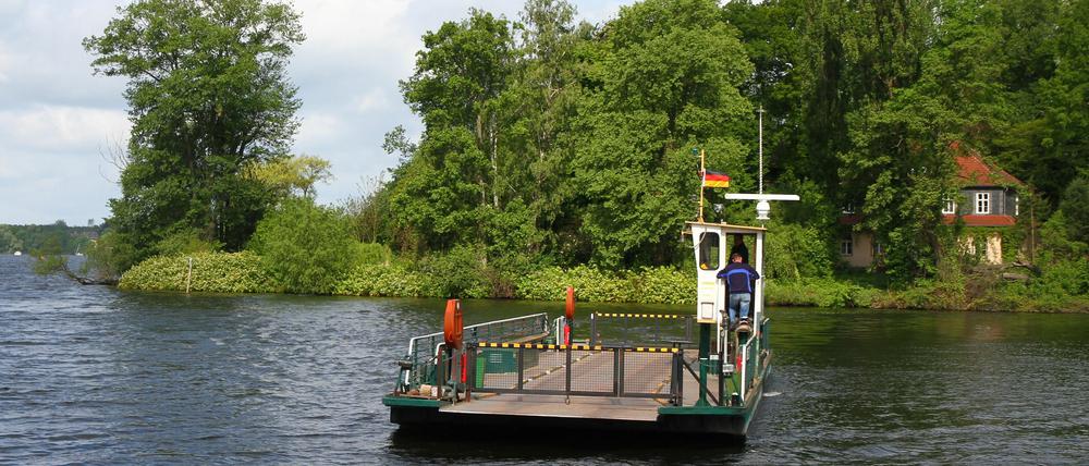 Naturparadies: Die Pfaueninsel im Südwesten Berlins ist ein beliebtes Ausflugsziel.