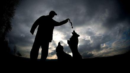 Es muss nicht immer ein Kampfhund sein. Freilaufende Hunde sind für viele Spaziergänger ein grundsätzliches Ärgernis.