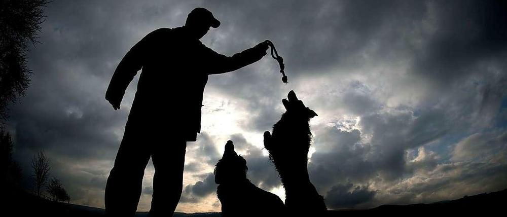 Es muss nicht immer ein Kampfhund sein. Freilaufende Hunde sind für viele Spaziergänger ein grundsätzliches Ärgernis.