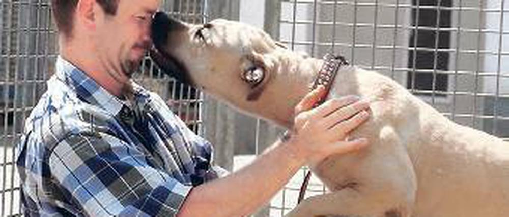 Der Lenz ist da. Sie sind ein Kampfhund? Zügeln Sie Ihre Leidenschaft! Foto: dpa