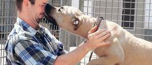 Der Lenz ist da. Sie sind ein Kampfhund? Zügeln Sie Ihre Leidenschaft! Foto: dpa