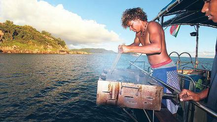 Heiße Kiste. Um frischen Fisch umgehend zuzubereiten, wird beim Grillen erfindungsreich improvisiert.