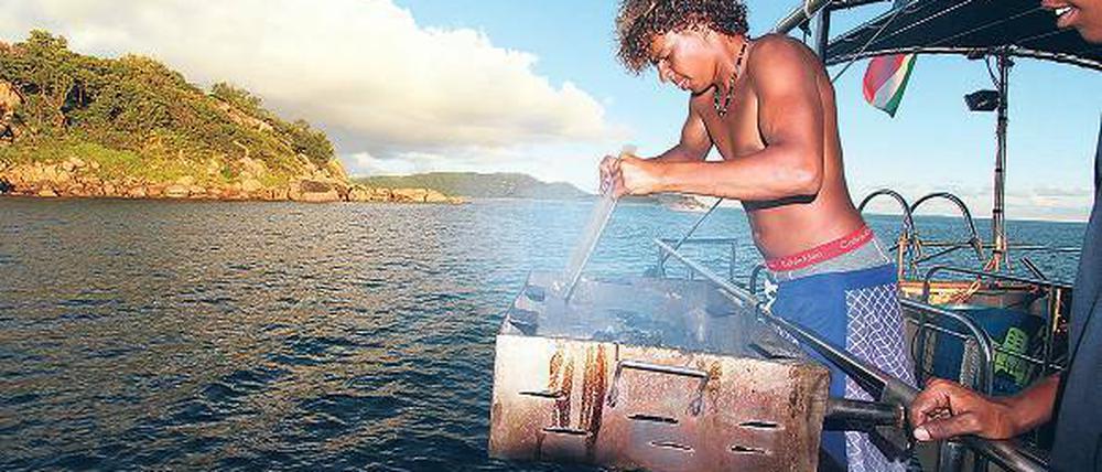 Heiße Kiste. Um frischen Fisch umgehend zuzubereiten, wird beim Grillen erfindungsreich improvisiert.