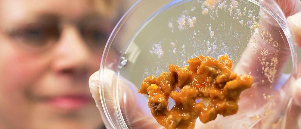 In Berlin gibt es zu wenige Lebensmittel-Kontrolleure.