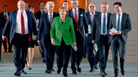 Die sieben von der Energiewende. Am Donnerstag haben sich Bundeskanzlerin Angela Merkel (CDU), ihr Umweltminister Peter Altmaier (CDU) (ganz links), Bauminister Peter Ramsauer (CSU) (neben Altmaier) und Wirtschaftsminister Philipp Rösler (FDP) (ganz rechts) mit Vertretern der Industrie und der Umweltverbände getroffen. Der Ertrag war überschaubar. 