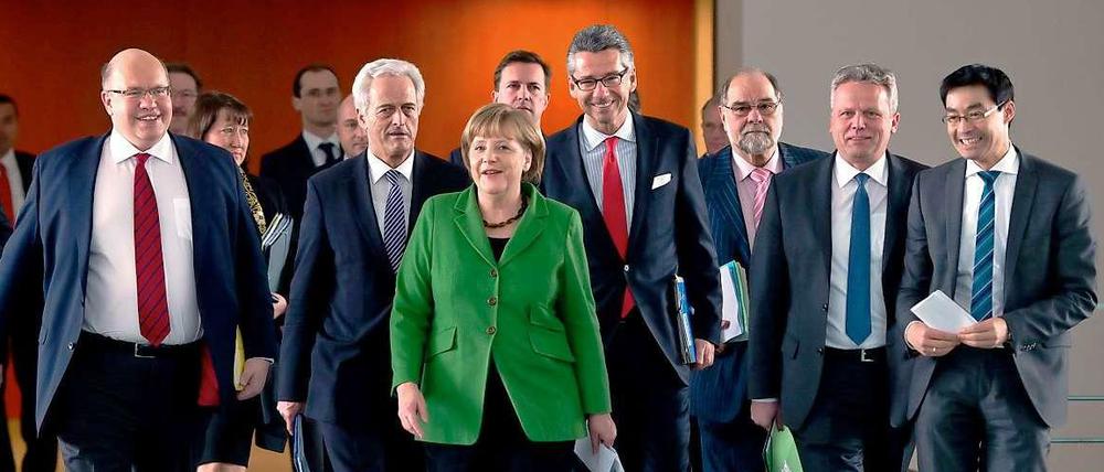 Die sieben von der Energiewende. Am Donnerstag haben sich Bundeskanzlerin Angela Merkel (CDU), ihr Umweltminister Peter Altmaier (CDU) (ganz links), Bauminister Peter Ramsauer (CSU) (neben Altmaier) und Wirtschaftsminister Philipp Rösler (FDP) (ganz rechts) mit Vertretern der Industrie und der Umweltverbände getroffen. Der Ertrag war überschaubar. 