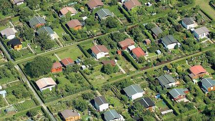Gärtnern nach Lust und Laune? In Kleingartenanlagen geht das nicht ohne weiteres. Es gibt Regeln. Foto: Matthias Hiekel/dpa