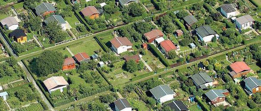 Gärtnern nach Lust und Laune? In Kleingartenanlagen geht das nicht ohne weiteres. Es gibt Regeln. Foto: Matthias Hiekel/dpa