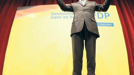 Bundesaußenminister Guido Westerwelle