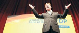 Bundesaußenminister Guido Westerwelle