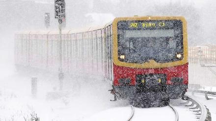 Die S-Bahn und ihr Lieblingsfeind: der Schnee.