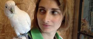 Schlaue Tiere. Kakadus warten lieber auf eine bessere Belohnung statt sofort zuzugreifen.