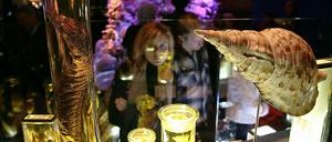 Artenvielfalt. Das Berliner Naturkundemuseum, das zur Leibniz-Gemeinschaft gehört, ist einer der Partner beim geplanten Forschungszentrum.