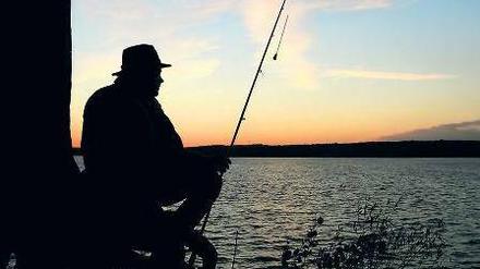 Idylle. Ein Angler am Ufer des Scharmützelsees östlich von Berlin. 