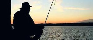 Idylle. Ein Angler am Ufer des Scharmützelsees östlich von Berlin. 