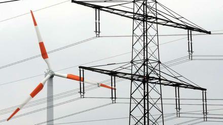 Im vom ostdeutschen Übertragungsnetzbetreiber 50Hertz betreuten Stromnetz sind nach Angaben des Unternehmens 21 400 Megawatt erneuerbarer Energien, also Windräder oder Solaranlagen, Biogasanlagen oder Wasserkraftwerke installiert. Der Anteil erneuerbar erzeugten Stroms im Netz von 50Hertz beträgt demnach bereits heute 35 Prozent - das ist das Ziel der Bundesregierung für das Jahr 2020. 