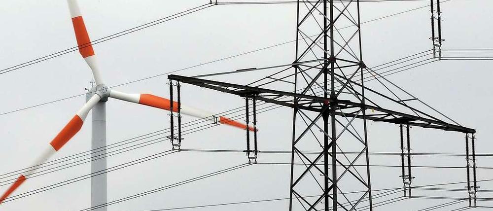 Im vom ostdeutschen Übertragungsnetzbetreiber 50Hertz betreuten Stromnetz sind nach Angaben des Unternehmens 21 400 Megawatt erneuerbarer Energien, also Windräder oder Solaranlagen, Biogasanlagen oder Wasserkraftwerke installiert. Der Anteil erneuerbar erzeugten Stroms im Netz von 50Hertz beträgt demnach bereits heute 35 Prozent - das ist das Ziel der Bundesregierung für das Jahr 2020. 