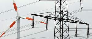 Im vom ostdeutschen Übertragungsnetzbetreiber 50Hertz betreuten Stromnetz sind nach Angaben des Unternehmens 21 400 Megawatt erneuerbarer Energien, also Windräder oder Solaranlagen, Biogasanlagen oder Wasserkraftwerke installiert. Der Anteil erneuerbar erzeugten Stroms im Netz von 50Hertz beträgt demnach bereits heute 35 Prozent - das ist das Ziel der Bundesregierung für das Jahr 2020. 