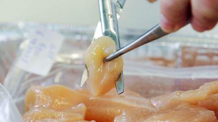 Aus Rumänien ist mit Antibiotika belastetes Putenfleisch nach Deutschland gelangt.