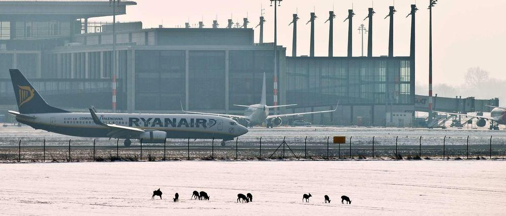 Wie kann die Nordbahn des Flughafen BER saniert werden? Derzeit werden mehrere Szenarien durchgespielt.