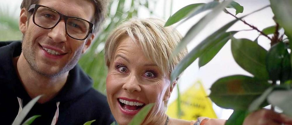 Die Jury hat entschieden: Das Dschungelcamp bekommt keinen Grimme-Preis.