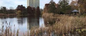 Eines der höchsten Häuser Spandaus steht neben dem Südpark. 24 Etagen, 1966 erbaut.