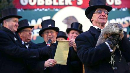 Feierliche Proklamation. Murmeltier Phil sagt in Punxsutawney jedes Jahr im Februar voraus, wann der Winter endet.