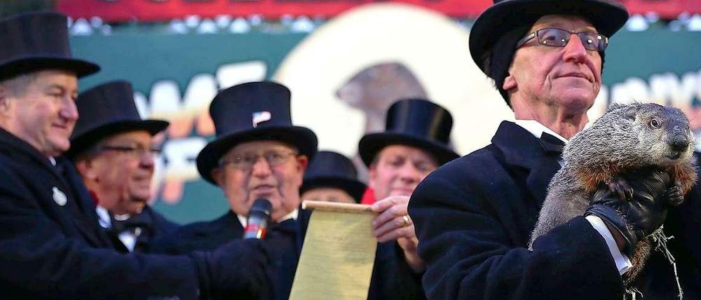 Feierliche Proklamation. Murmeltier Phil sagt in Punxsutawney jedes Jahr im Februar voraus, wann der Winter endet.